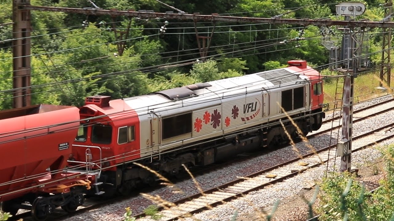 VFLI and SNCF Diesel Locomotives in Le Mans
