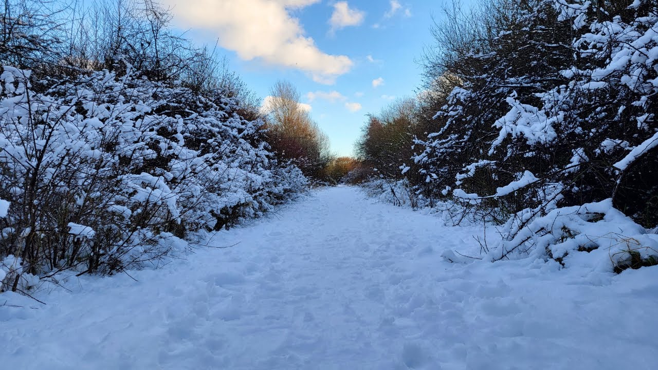 Walking In The Snow - Nieuw-Vennep Park ASMR 2026