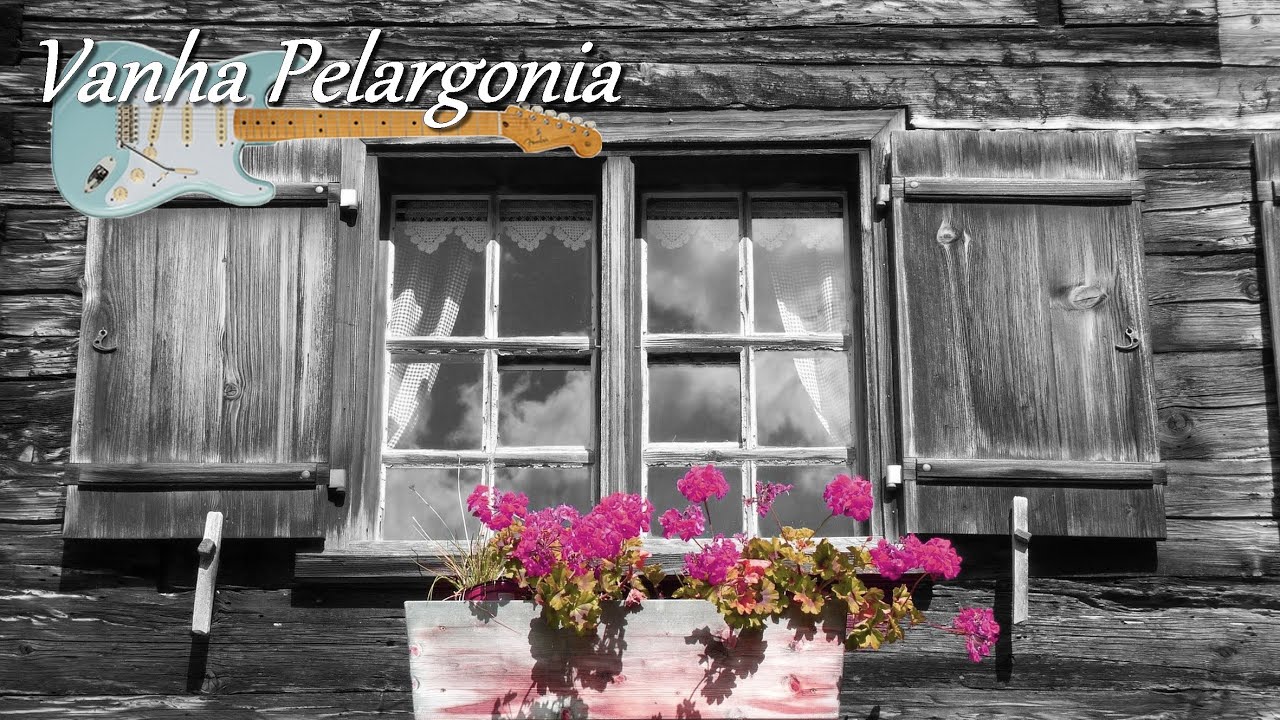 Vanha Pelargonia - Mikko Huuhtanen -