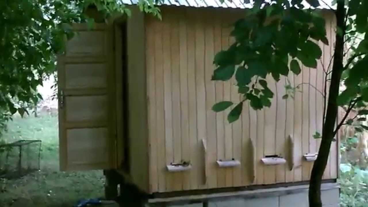 Im Bienenhaus übernachtet