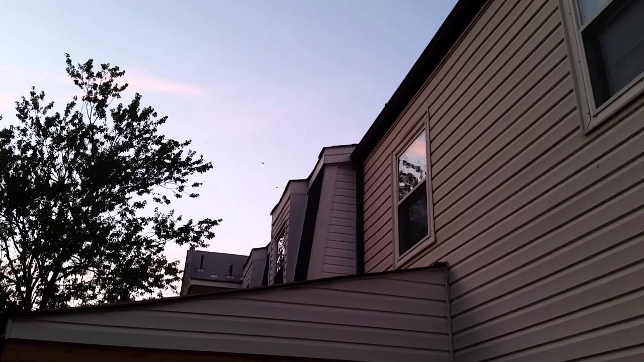 Chillin in the hood: Lake Edwards (R.I.P. Mario)