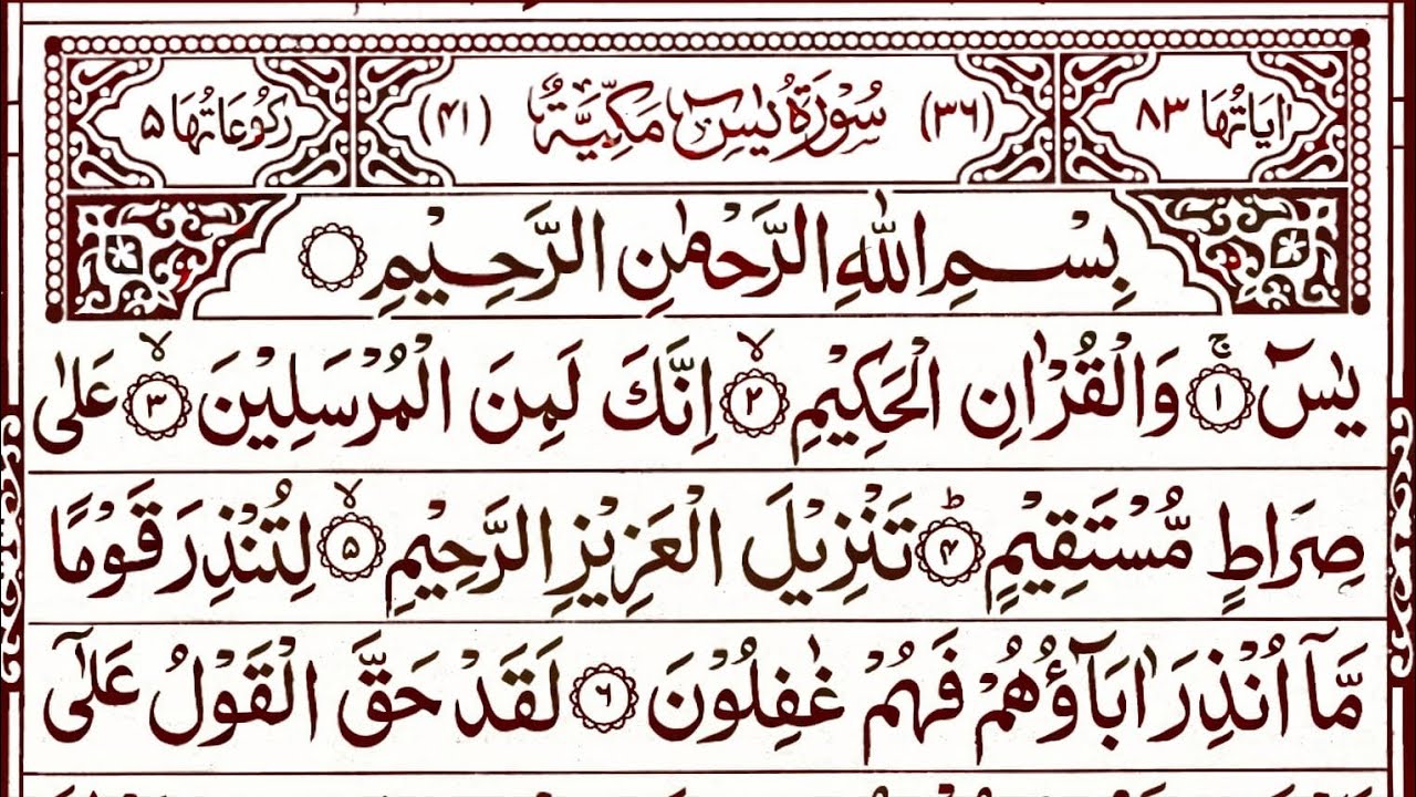 Surah Yaseen Surah Rahman Beautiful Voice || Ep 34 || quran recitation beautiful tilawat || yasin