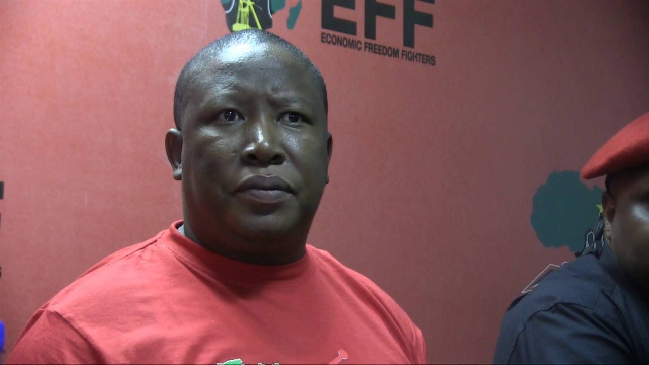 We will not sell SA to the Guptas over a curry - Malema's top five #Zupta quotes