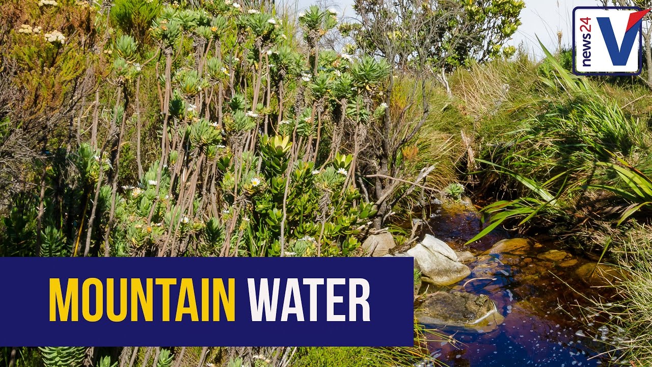 Water crisis: Is Cape Town taking advantage of aquifers and mountain springs?
