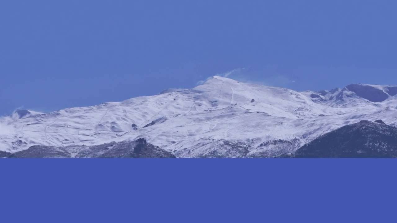 Respiración concentrativa