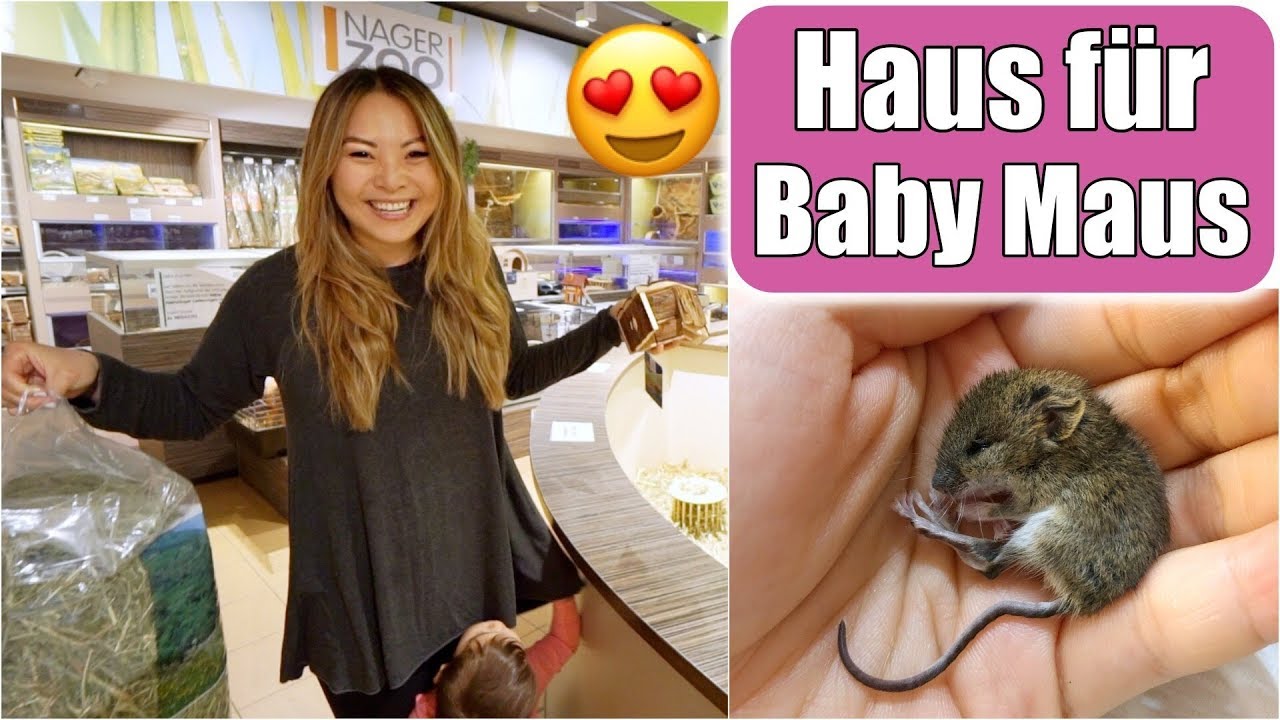 Baby Maus bekommt ein Haus 😍 Spitzmaus Baby retten füttern aufziehen | Nagarium VLOG | Mamiseelen