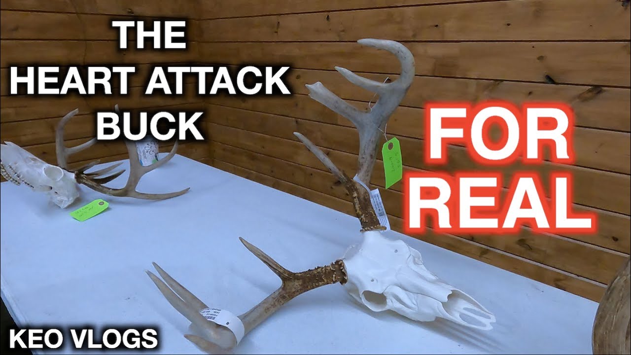 The Heart Attack Buck... It Actually Caused A Heart Attack!