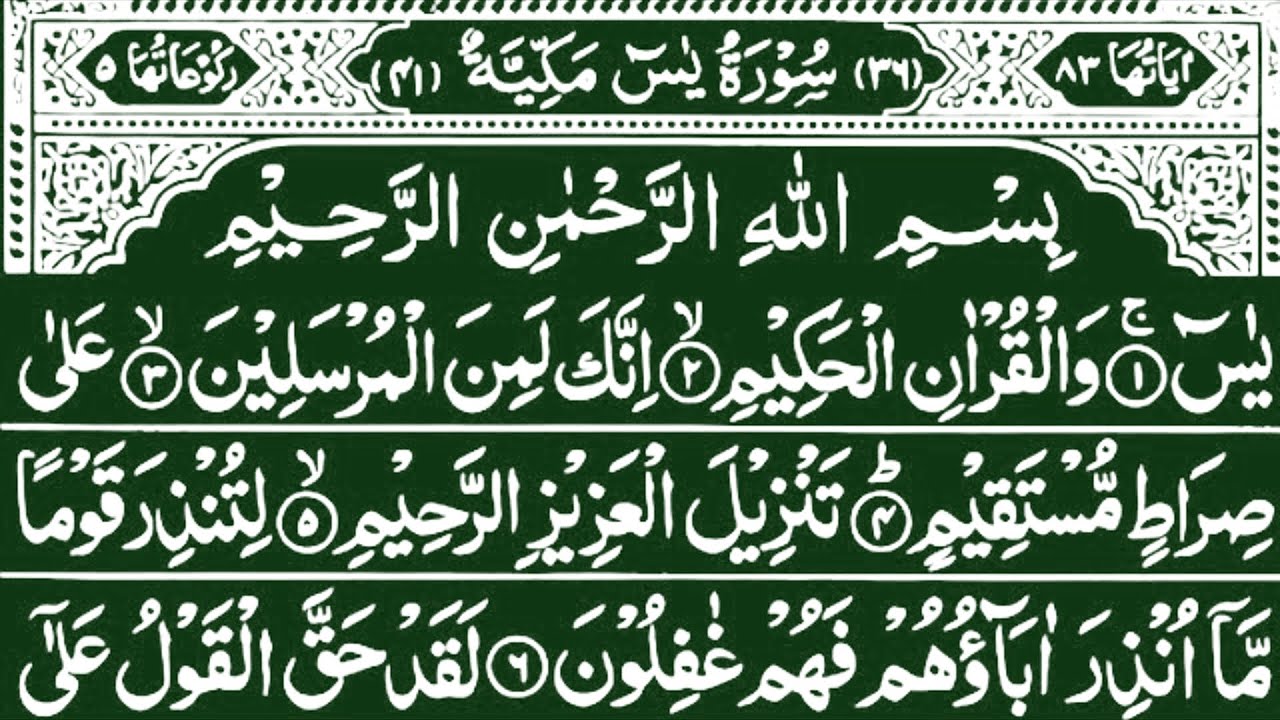 🔴LIVE Surah Yaseen || Quran Recitation || Surah Rahman || Surah Yasin Full || Best Quran Tilawat