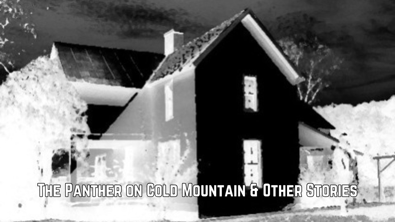 Haints, Ghosts, & Boogers - The Panther on Cold Mountain & Other Stories 11