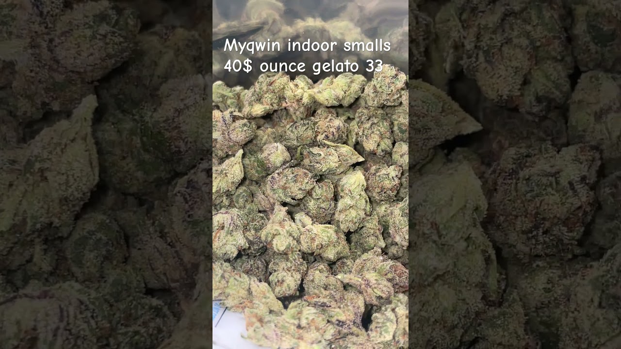 Myqwin cheap indoor thca smalls gelato 33