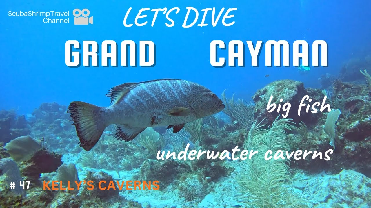Grand Cayman Scuba Diving | Maze of Caverns & Pristine Reefs | Kelly's Caverns