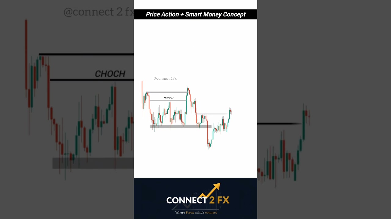 Price action and Smart Money concept which one is best 