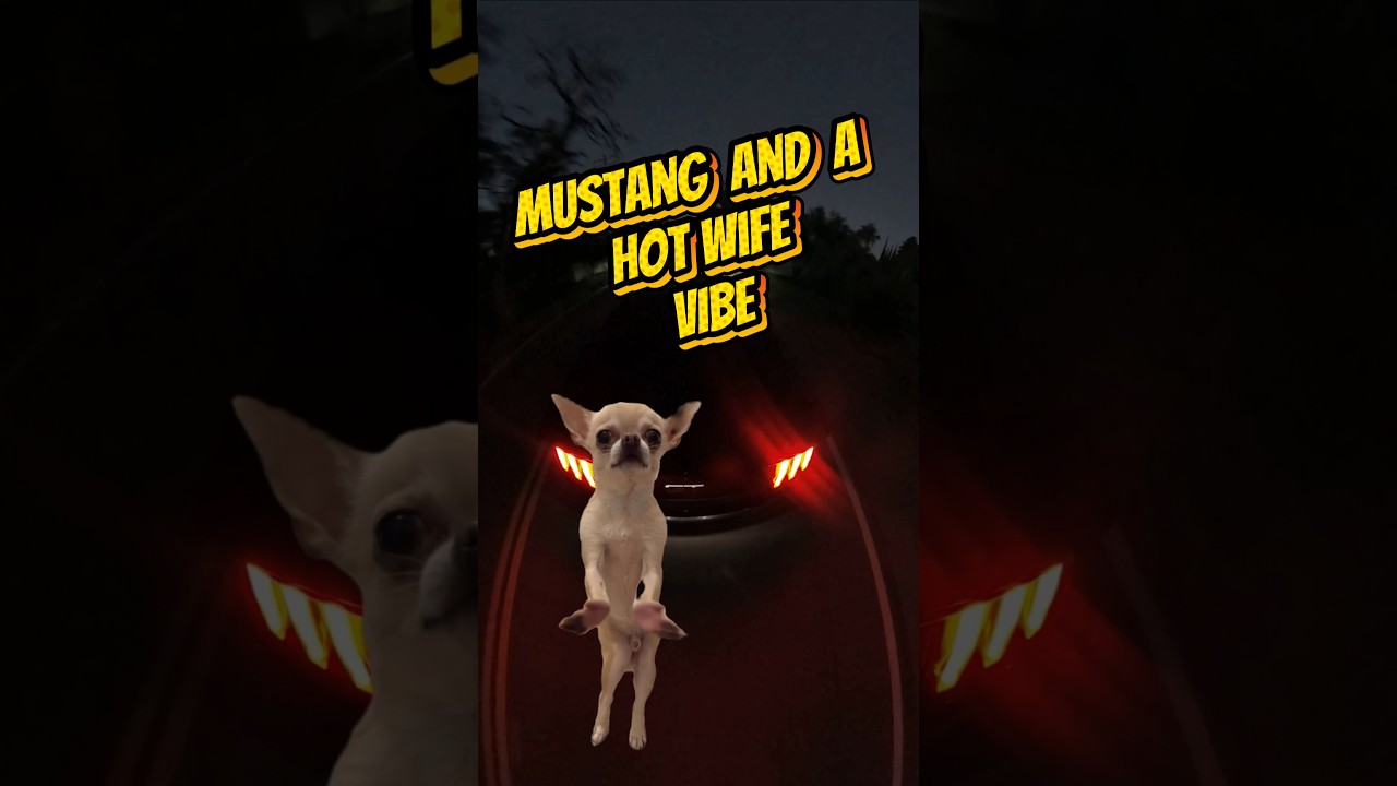 #MUSTANG