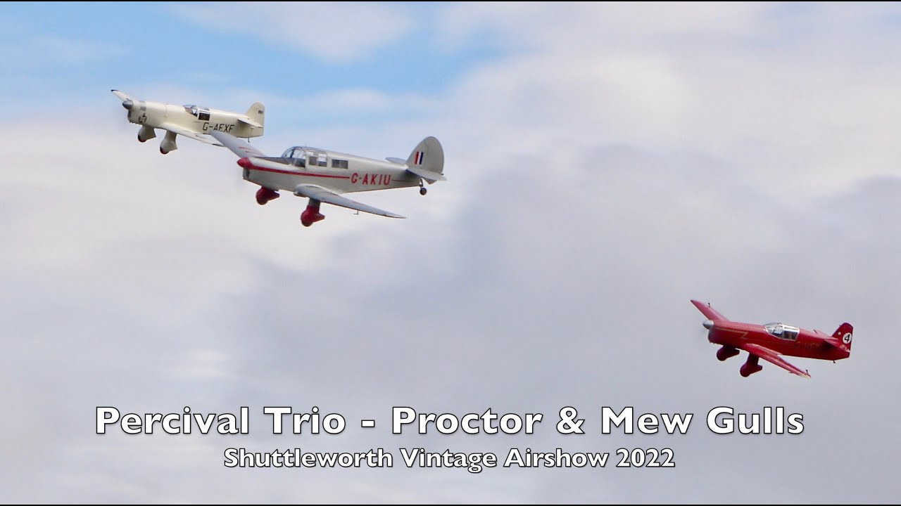 Percival Trio - Proctor and Mew Gulls - Shuttleworth Vintage Airshow 2022
