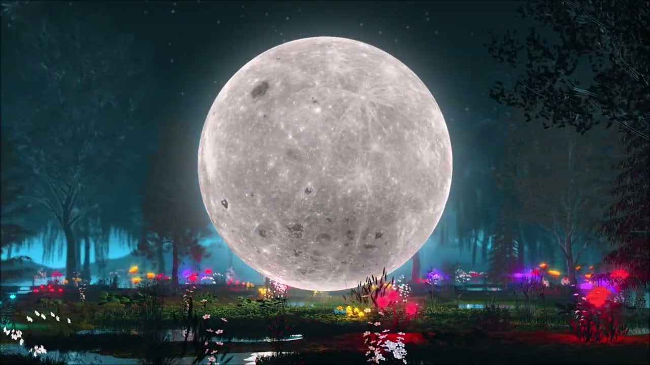 MOONY - Lunar Cycle (Psydub + Visuals) [Full EP]