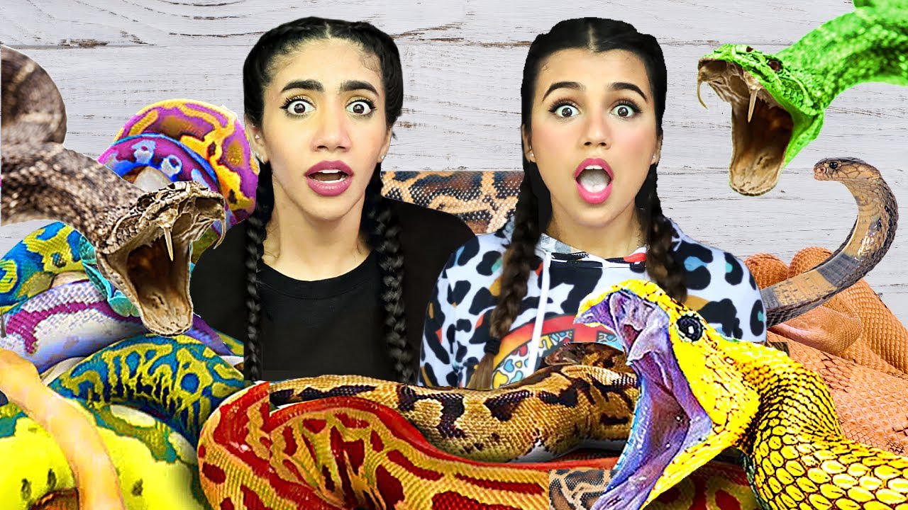 تحدي مسبح الثعابين مع نور ستارز | اصعب تحدي ! 🐍