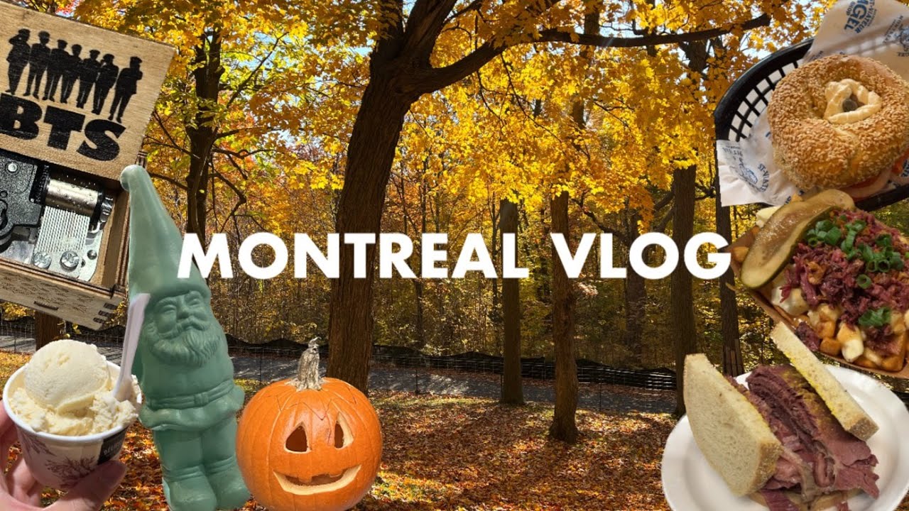 🇨🇦 캐나다 몬트리올 혼자 여행 / 몬트리올 시내가 한 눈에 보이는 곳?! 꼭 가야 함!!! / 단풍 구경 명소 / 몬트리올 맛집 / 몬트리올 카페 추천