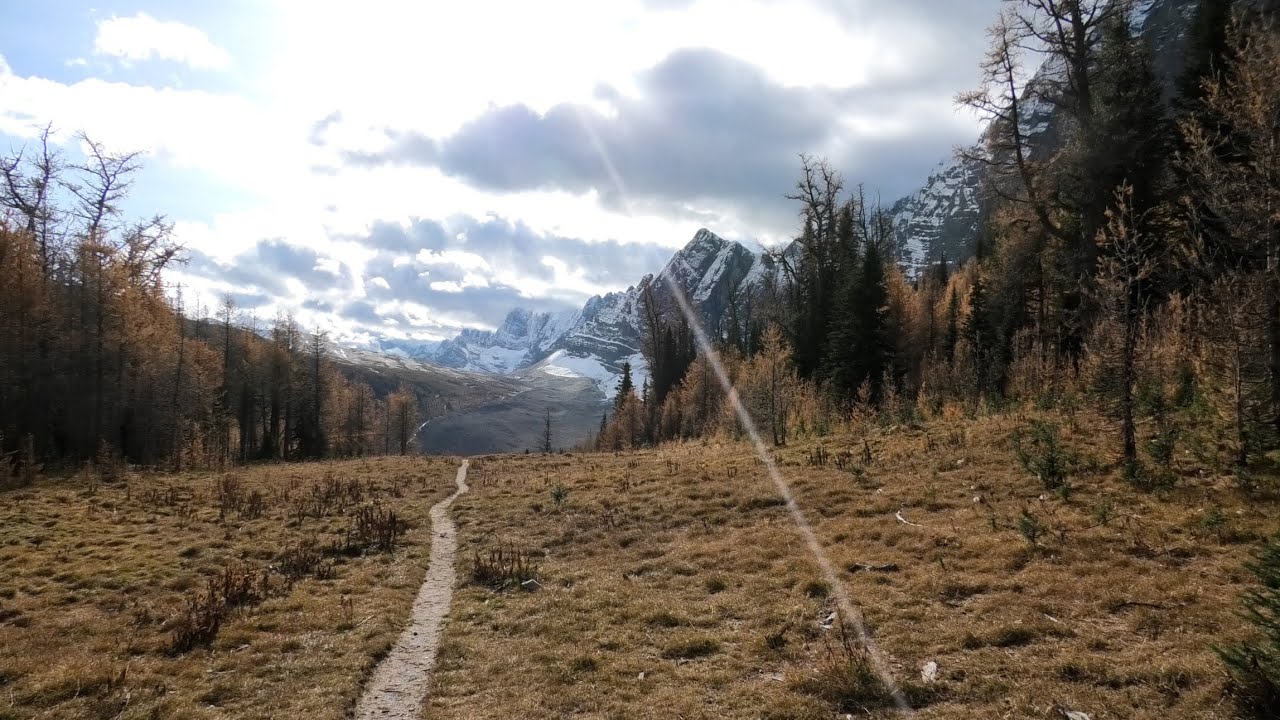 Hiking the SPECTACULAR Rockwall Trail | CANADIAN ROCKIES