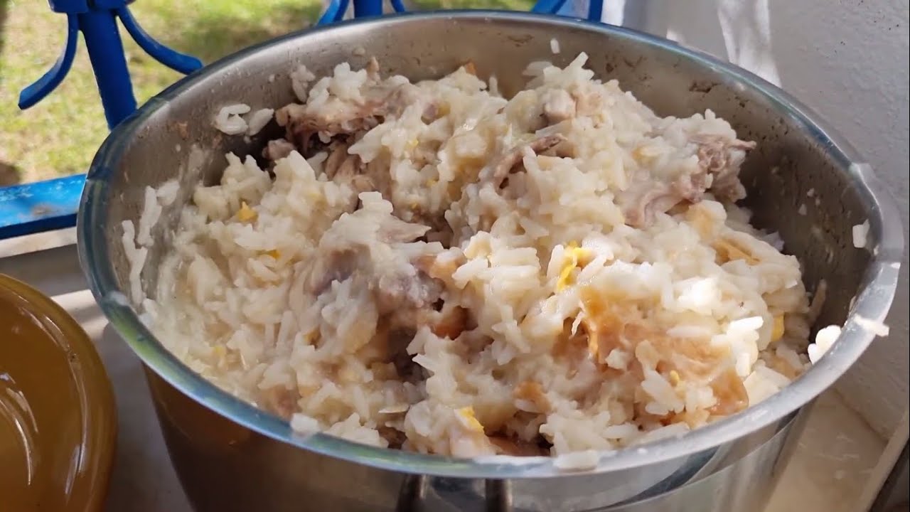 Repas maison pour chien Berger Allemand 35Kg (préparation rapide)