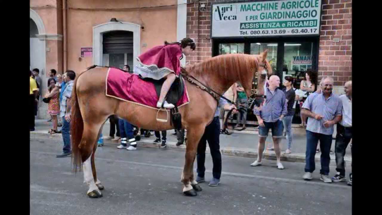 Festa in onore di S.Rocco 2015 Bitritto (Ba)