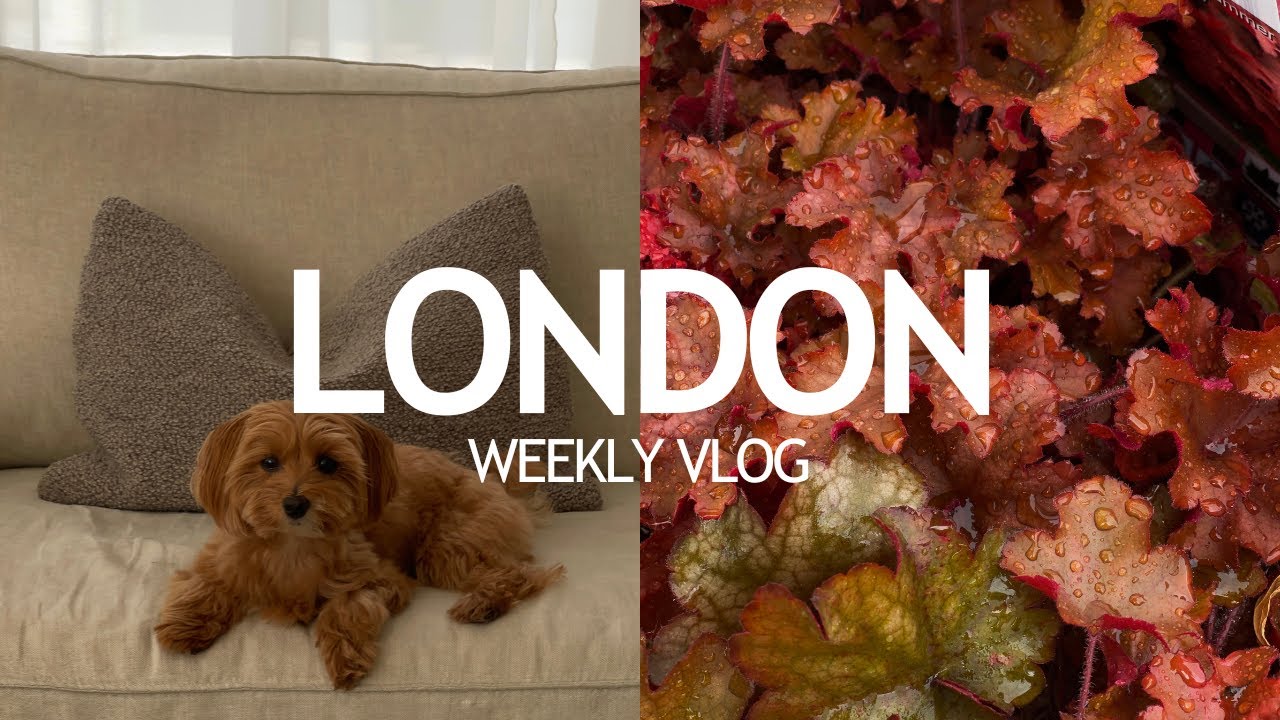 LONDON WEEKLY VLOG | Garden Centre, Baking & Cosy Moments
