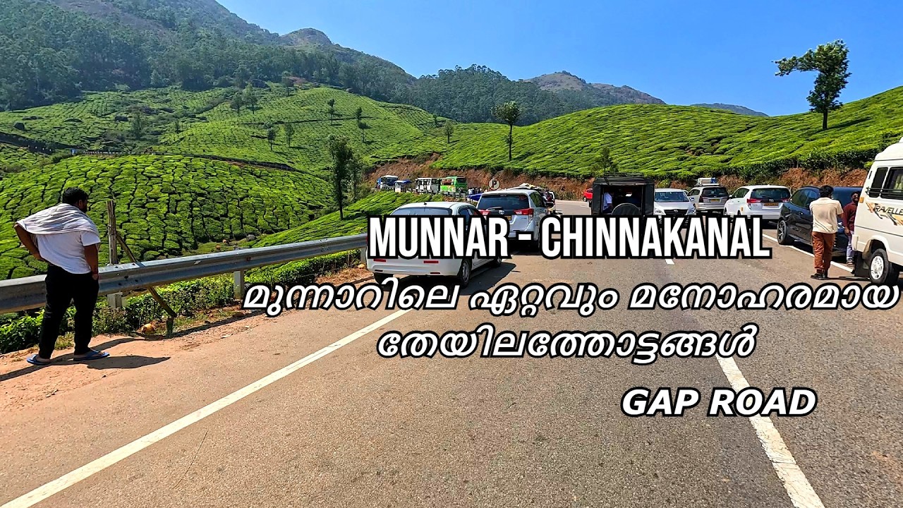 മുന്നാറിലെ ഏറ്റവും മനോഹരമായ തേയിലത്തോട്ടങ്ങൾ കണ്ടു കൊണ്ട് ഒരു ബൈക്ക് റൈഡ്  | Munnar bike trip