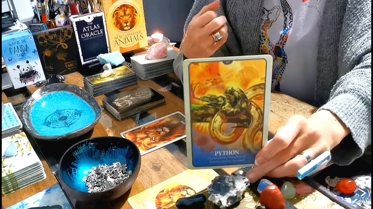 TAURUS - 
