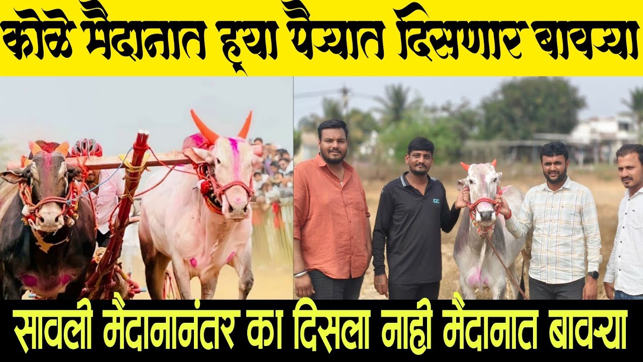 १ तारखेला सगळ्यात टॉपच्या पायरी दिसणारा साखरवाडी करांचा बावऱ्या...