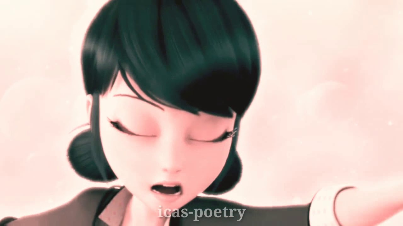 Señorita | Lyrics video (Miraculous Ladybug)