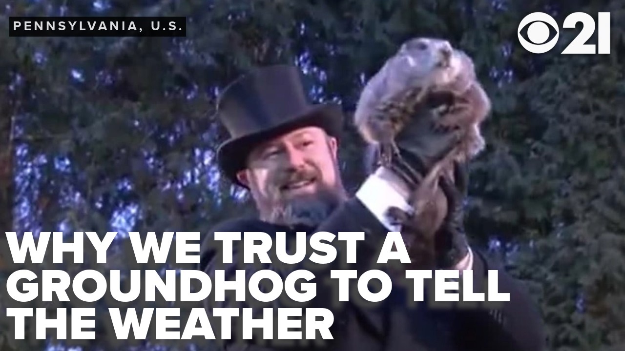 Why thousands flock to Gobbler's Knob for Punxsutawney Phil's annual weather prediction