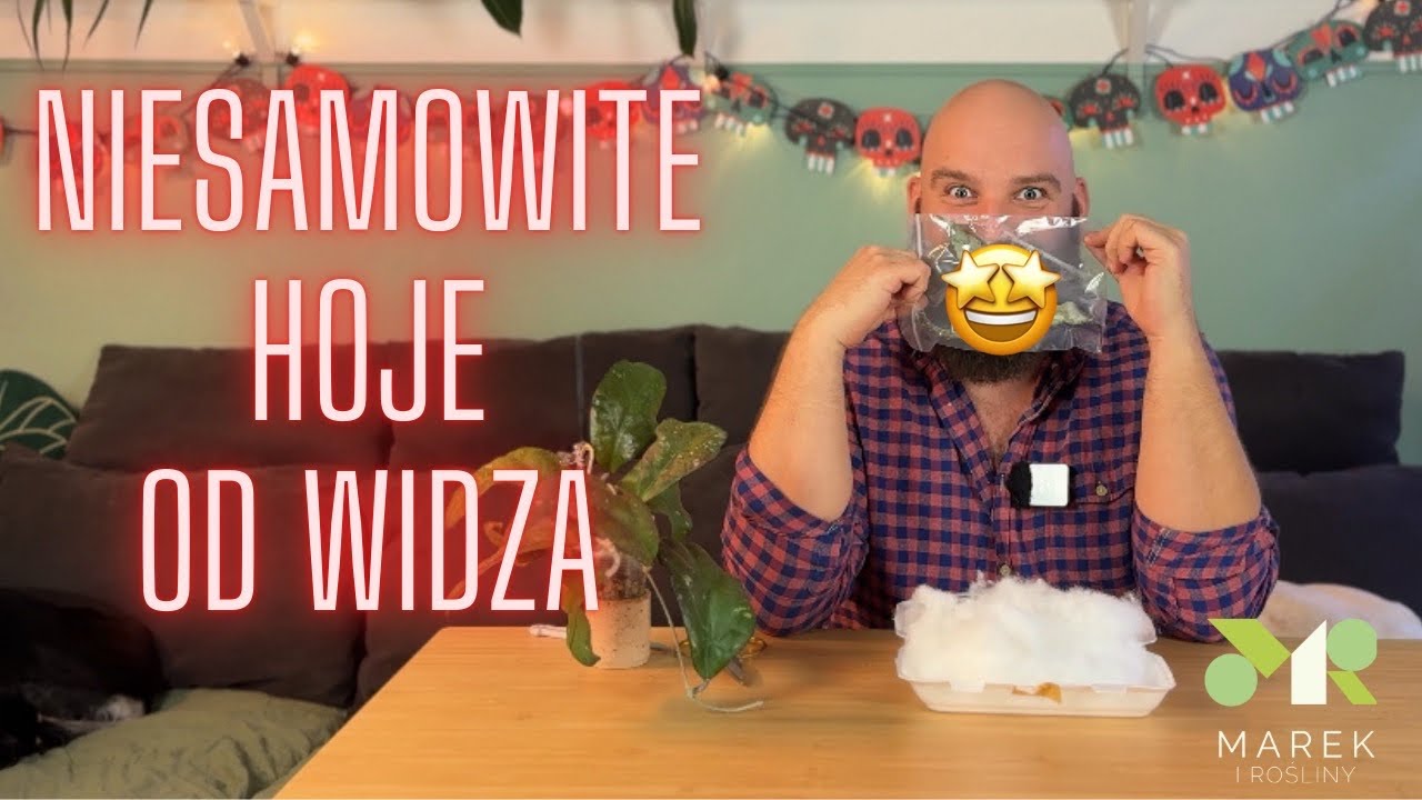 Niesamowite hoje od widza! 🦄🤩😍
