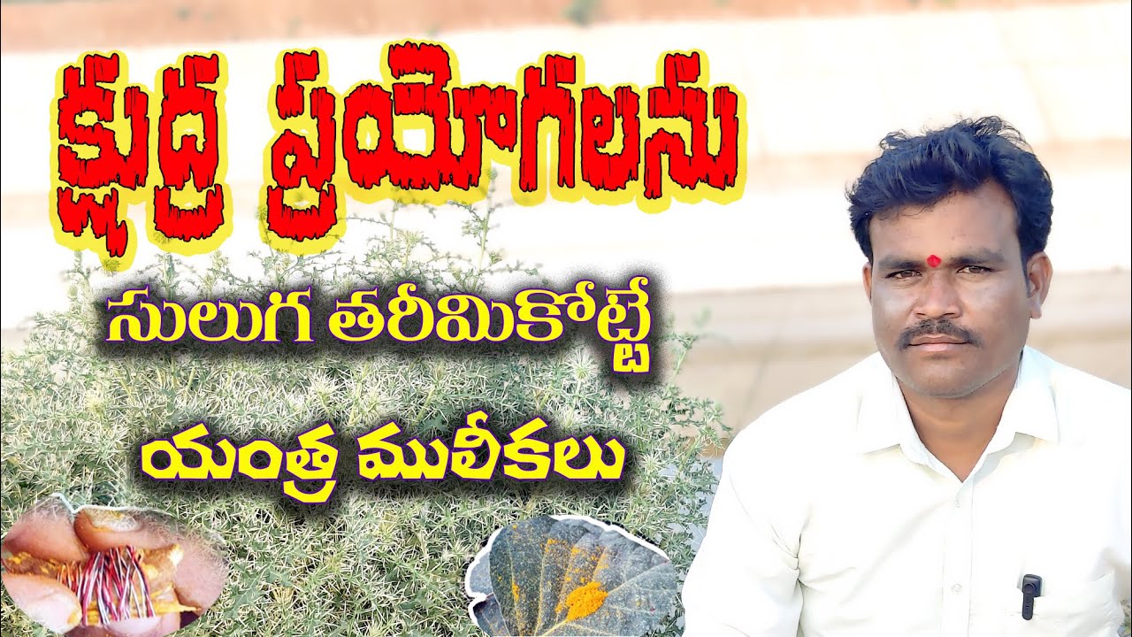 క్షుద్ర ప్రయోగాలను(చేతబడి)అతి సులువుగా తరిమికొట్టే యంత్ర మూలికలు|Occult experiments Ayurveda videos
