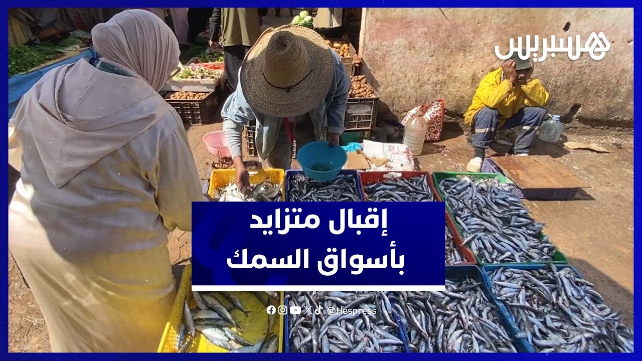 رمضان ينعش أسواق السمك ويزيد الطلب على السردين والأنشوبة