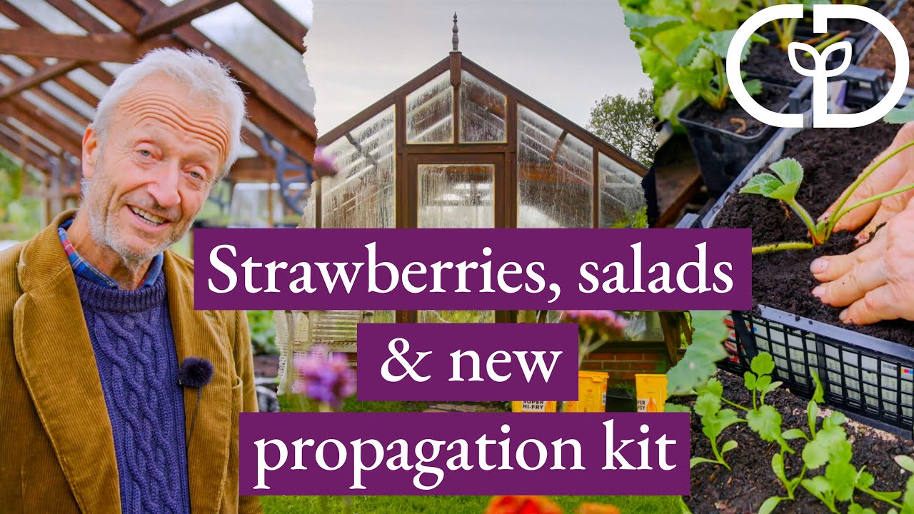 Indoor Winter Growing Stage 2, and New Kit  || Charles Dowding