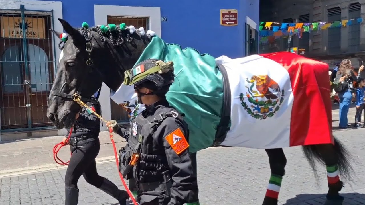 Desfile Militar INDEPENDENCIA de México - Puebla 2025