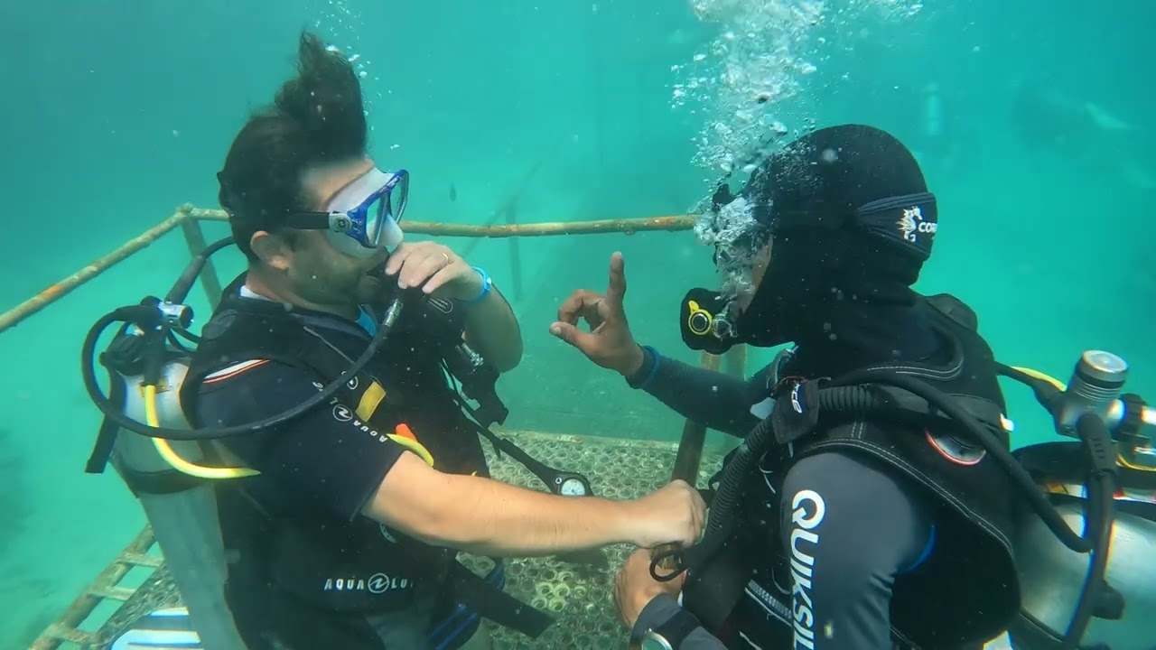 Marsa Alam Jaz Lamaya Hotel Diving