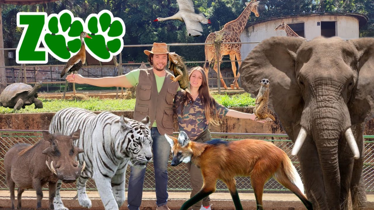 ZOOLÓGICO de SÃO PAULO