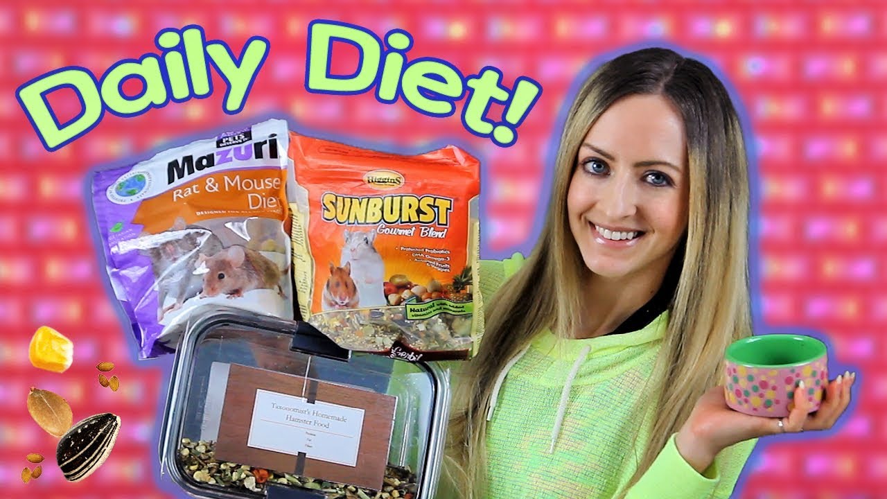 🐹 My Hamster Kashi's Food Diet | Mix + Mix-Ins