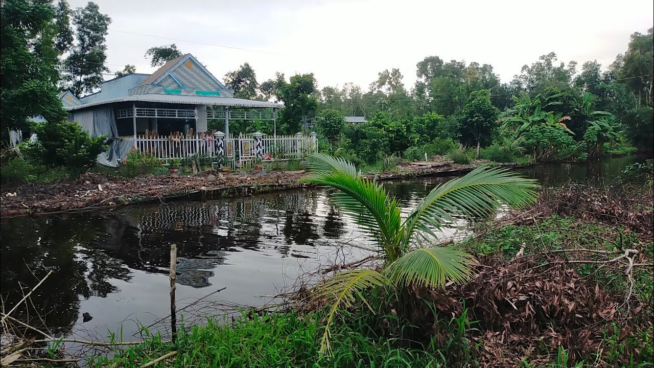 RỪNG TRÀM DT: 30.000 M2. GIÁ : 1 TỶ. U MINH CÀ MAU. ĐT: 0911464445.KHANH NGUYỄN.