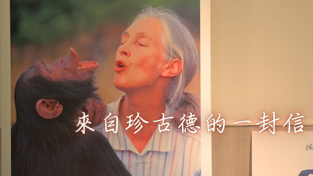 來自珍古德博士的一封信 傳奇人物深度對談│SET Wildlife  @SET_Wildlife
