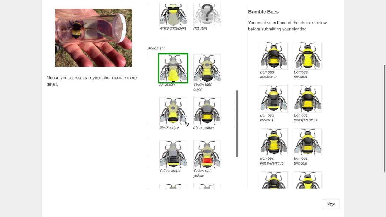ID tools terricola example
