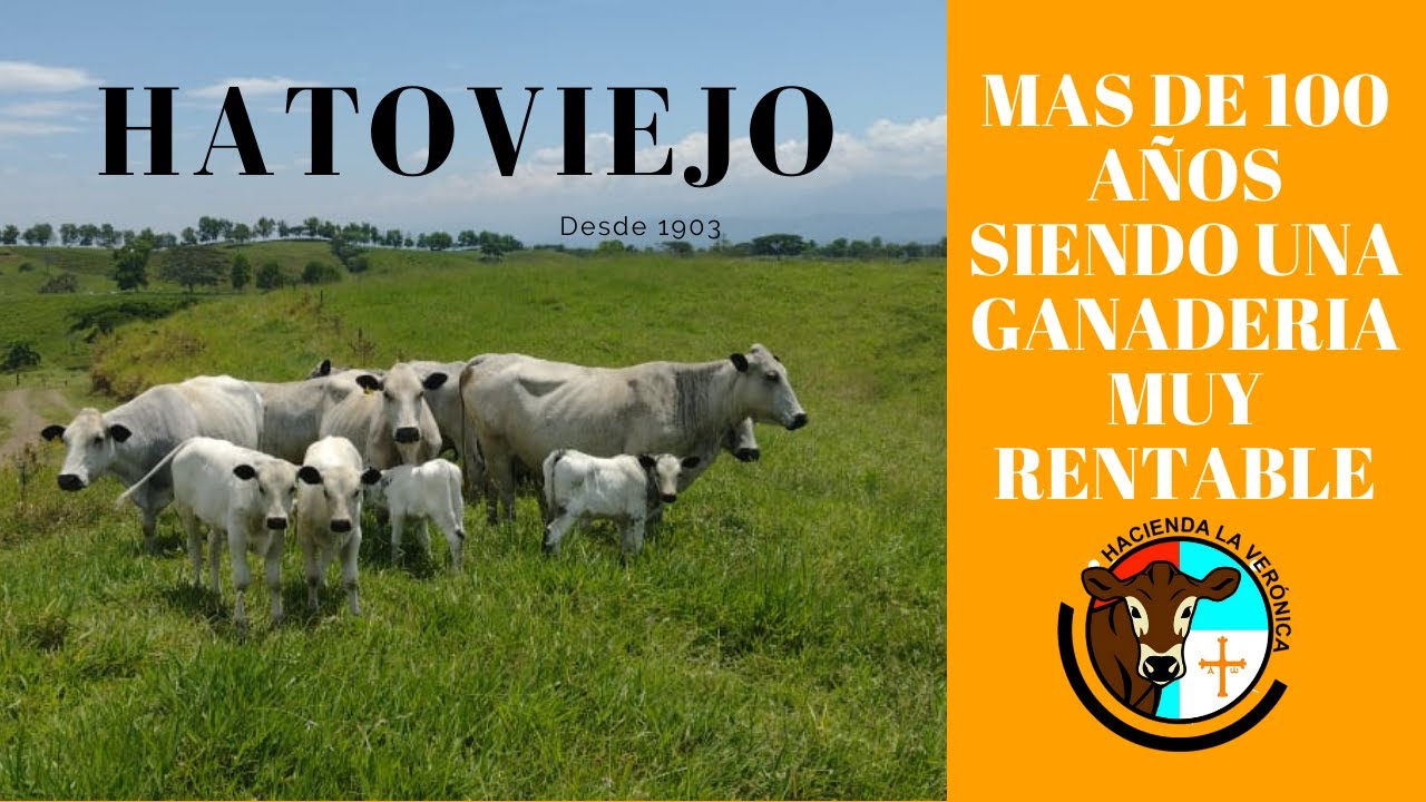 MAS DE 100 AÑOS SIENDO UNA GANADERIA MUY RENTABLE