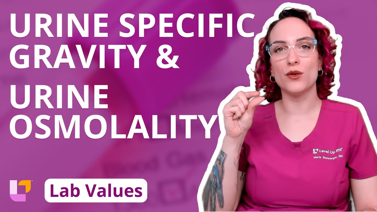 Urine Specific Gravity & Urine Osmolality: Lab Values for adults, Nursing School  | @LevelUpRN