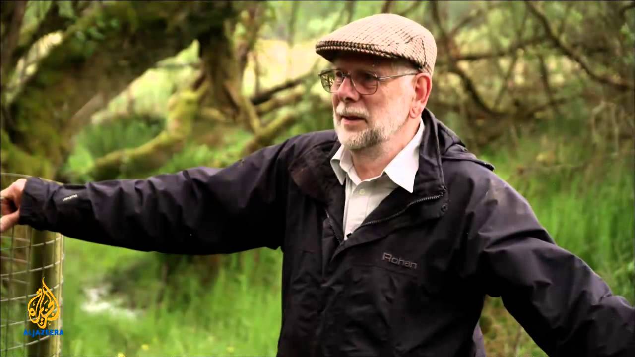 🌏 earthrise - Restoring Wetlands with Beavers & Repair Cafes