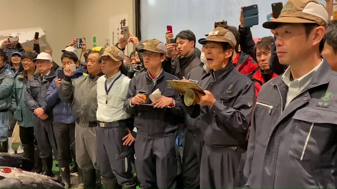 2020年令和最初の豊洲初競り