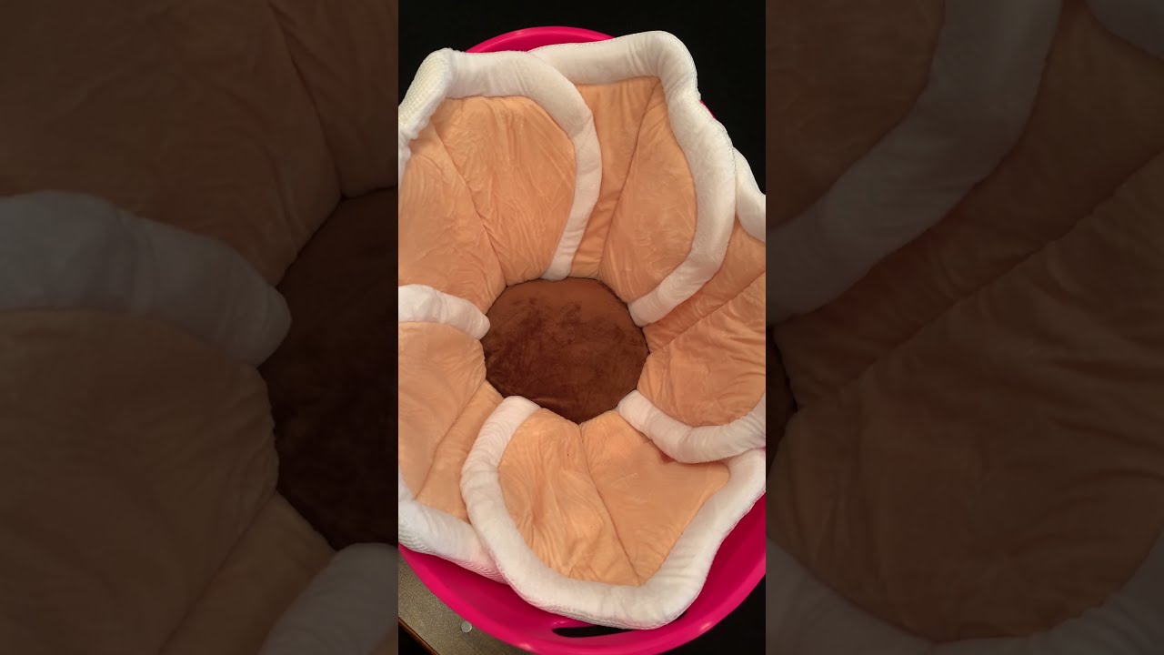 Mizeer Baby flower bath