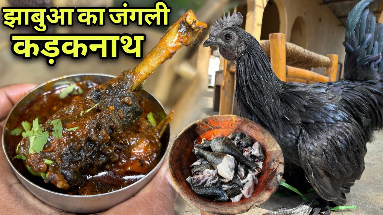 झाबुआ का Famous जंगली कड़कनाथ मुर्गे का मीट By Mor Mitti | Black Chicken Recipe | Kadaknath Recipe