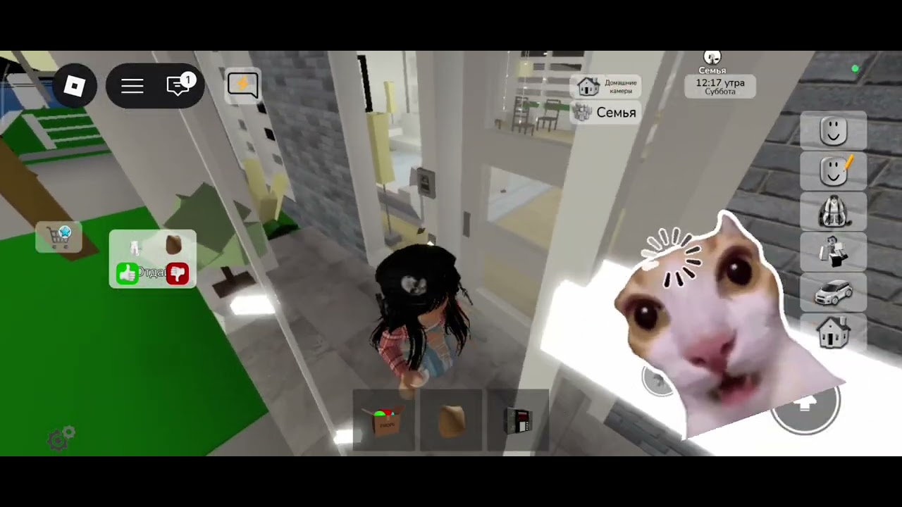 Грабим с сестрой людей в Брукхейвене #вреки #roblox #актив #роблокс #лайки  @nastik-rbx1 