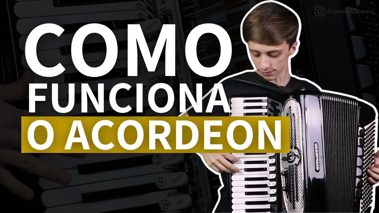 PRIMEIRO CONTATO  com o ACORDEON