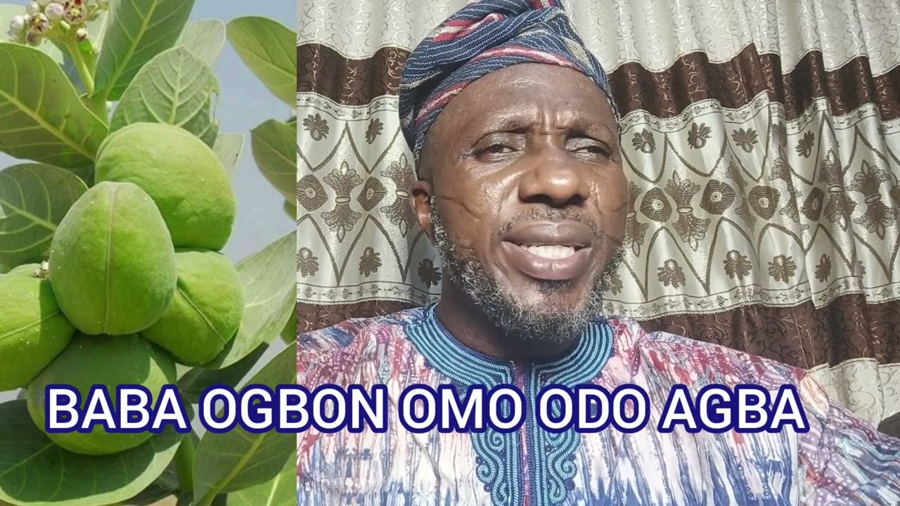 ÌWULO ÈSO BOMUBOMU PART THREE, +2348032983298, +22954651928, +2250506134943